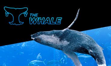 888poker the Whale