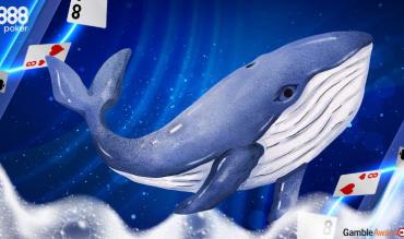 What is a Whale in Poker? Best Ways to Catch the Big Fish That Feed the Game!